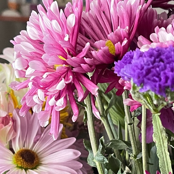 Meet your Posher, Jackie - Picture 1 of 1